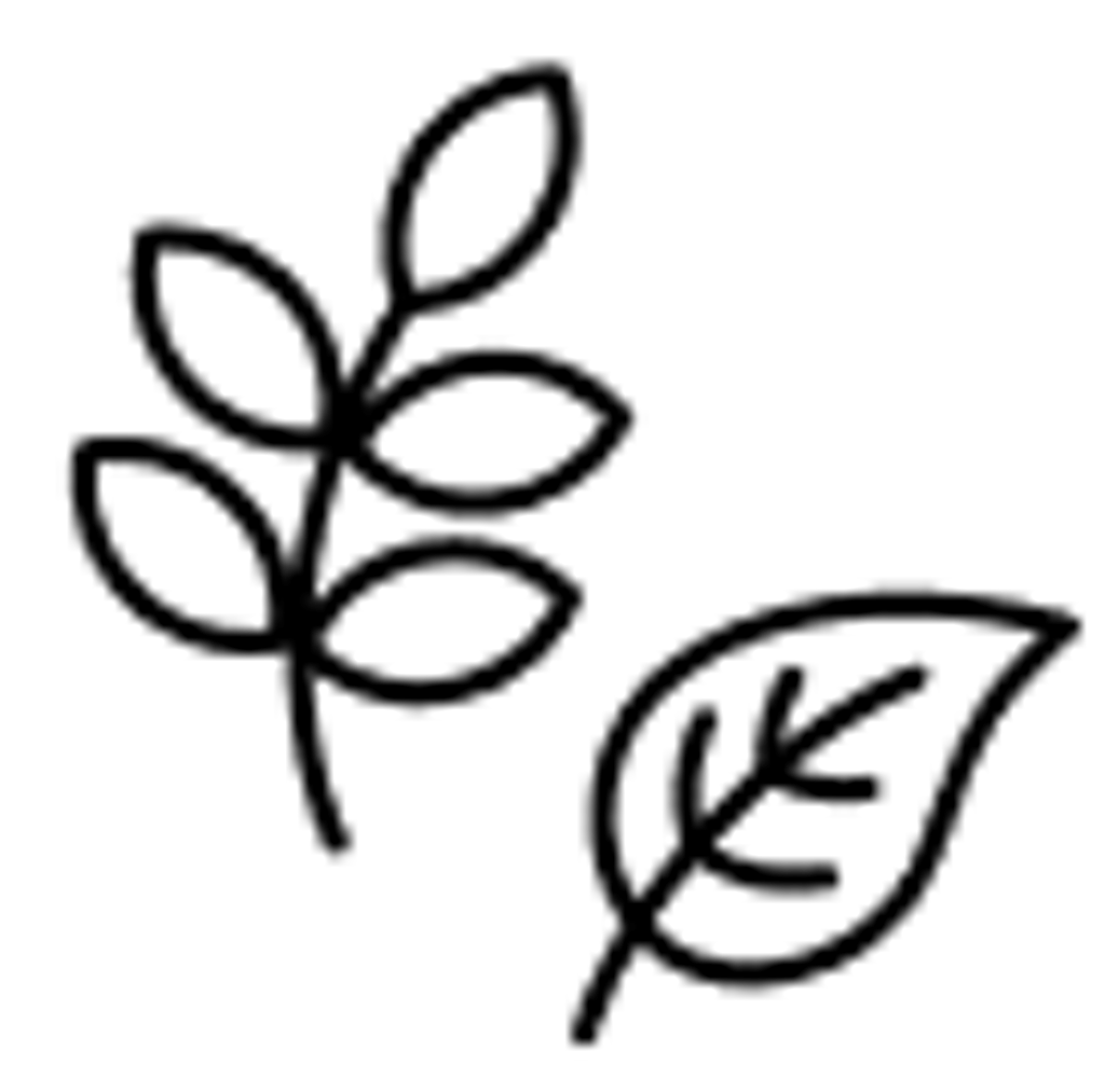 dietary supplement with adaptogens and nootropics