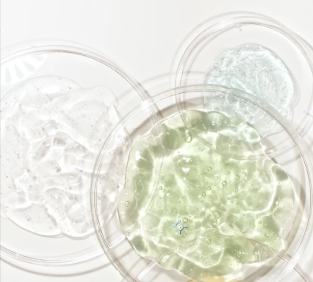 Zdjęcie w headerze Zdjęcie w headerze