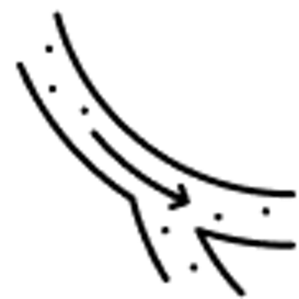 dba o zdrowie naczyń krwionośnych i krążenie żylne (nasiona winorośli właściwej)