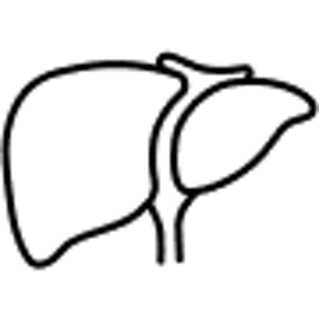 supports liver function (milk thistle)